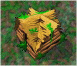 Rat hut