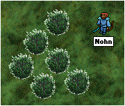 Yahoo! Third generation! Prepare to die, foul plant!