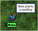 Planting a seedling