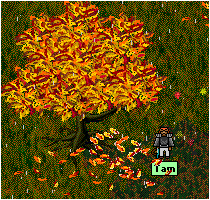 Fall is in the air