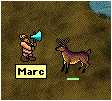 Forestbuck