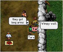 Short wall