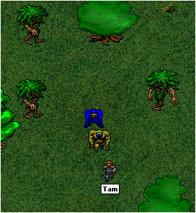 Three tree giants