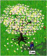 Pretty tree