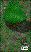 bird_in_tree.gif