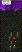 last_word.gif
